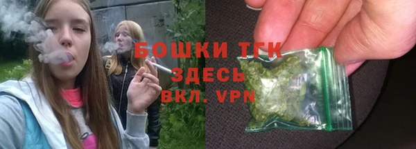 гидра Аркадак